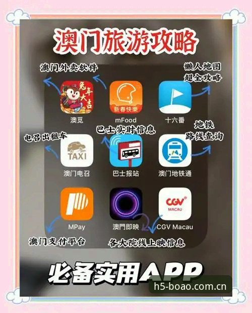如何高效使用博澳体育登录？这些技巧你需要知道